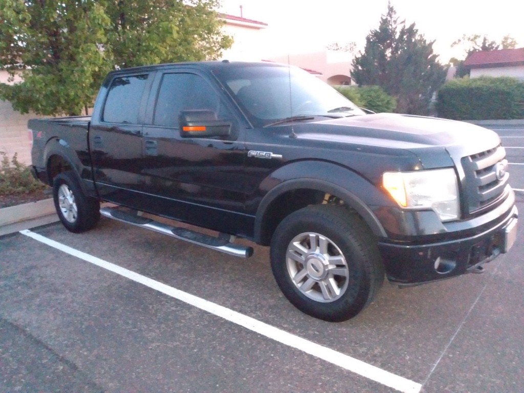 2010 Ford F-150's photo