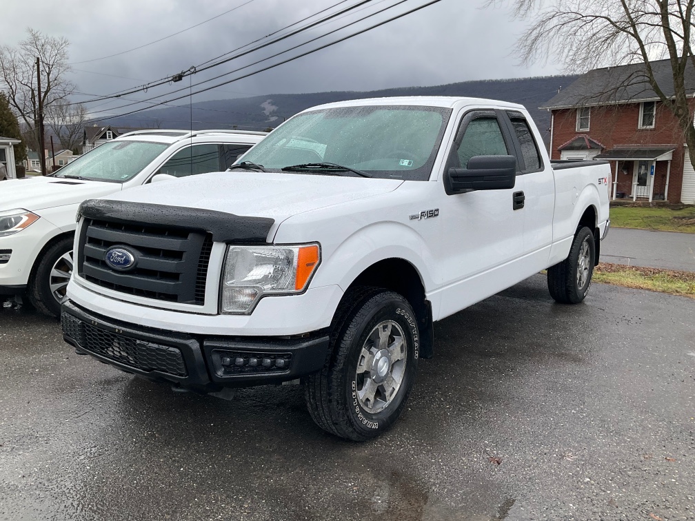 2010 Ford F-150's photo