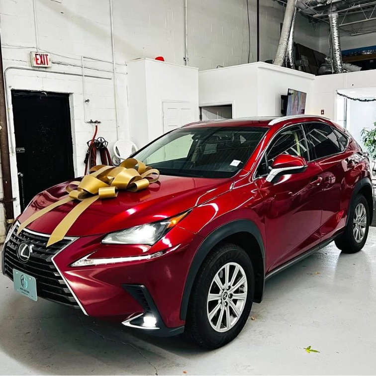 2019 Lexus NX 300's photo
