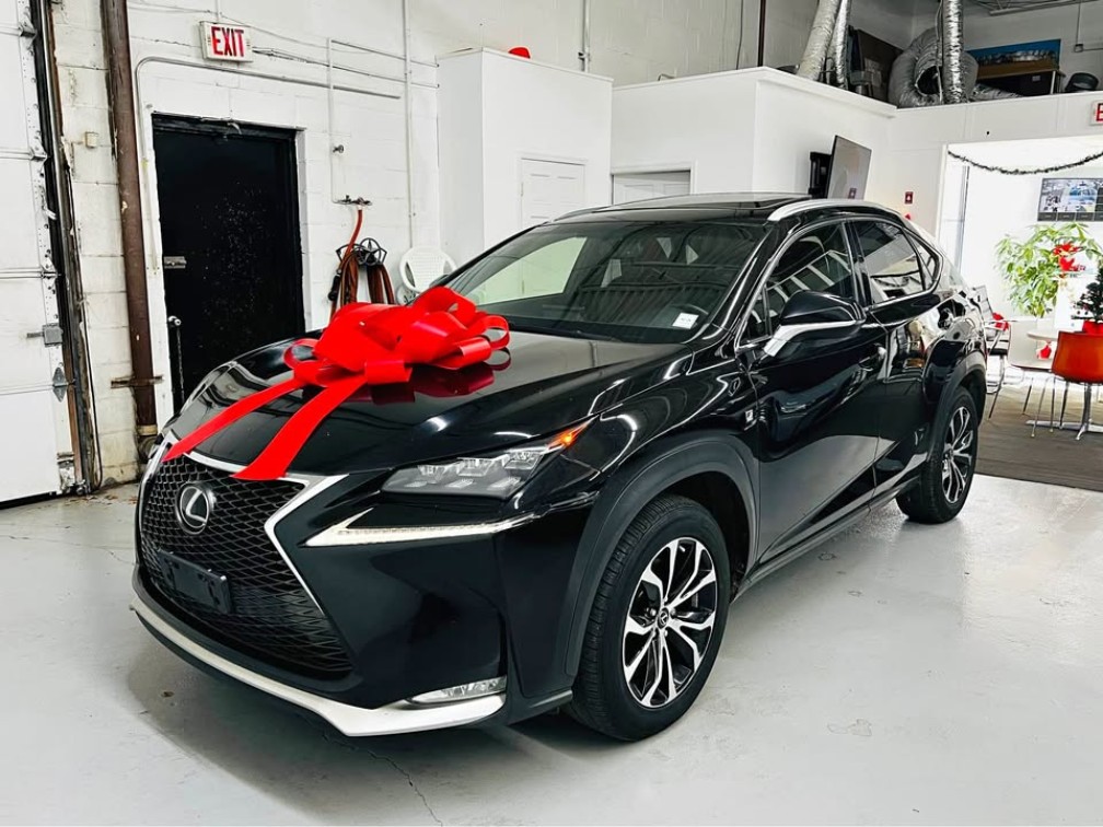 2017 Lexus NX F Sport's photo