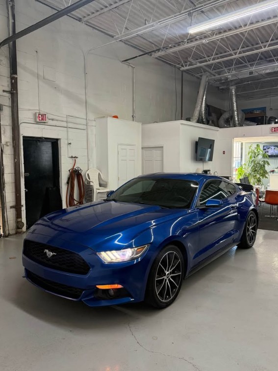 2017 FORD MUSTANG I4 Coupe