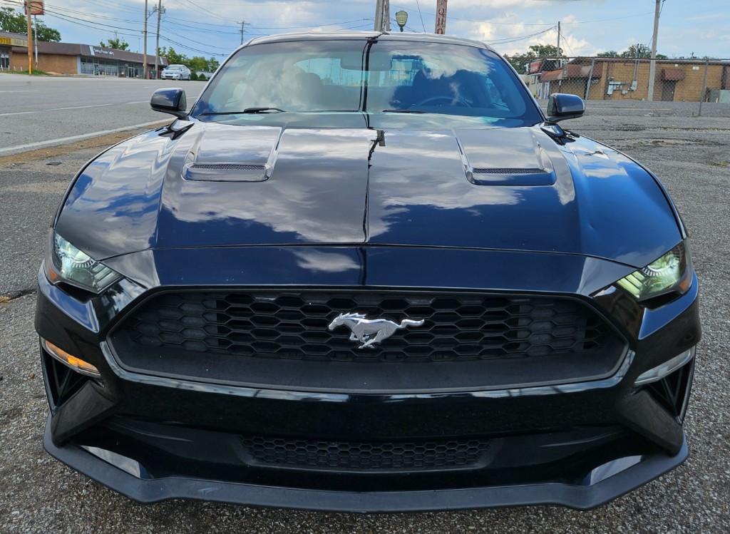 Photo of 2019 FORD MUSTANG